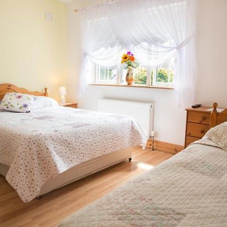 Shannon Breeze B&B Killaloe Extérieur photo