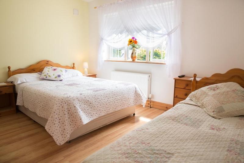 Shannon Breeze B&B Killaloe Extérieur photo