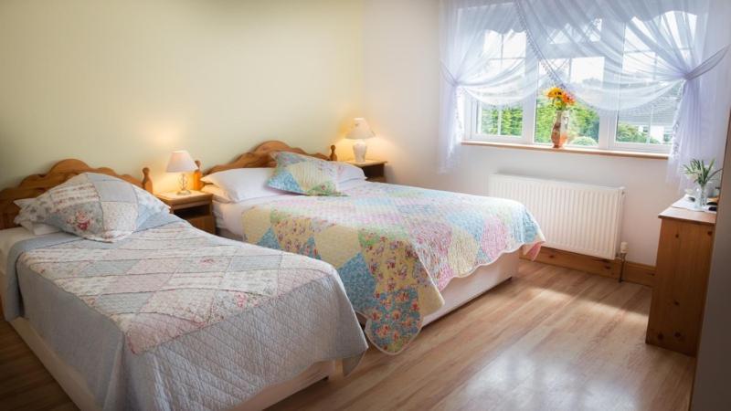 Shannon Breeze B&B Killaloe Extérieur photo