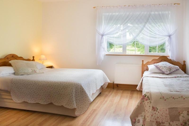 Shannon Breeze B&B Killaloe Extérieur photo