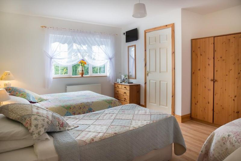 Shannon Breeze B&B Killaloe Extérieur photo