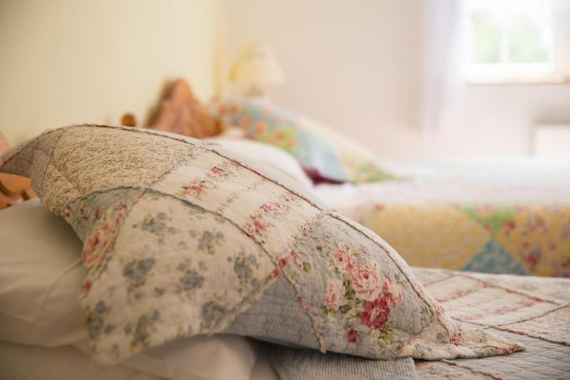 Shannon Breeze B&B Killaloe Extérieur photo