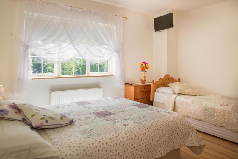 Shannon Breeze B&B Killaloe Extérieur photo