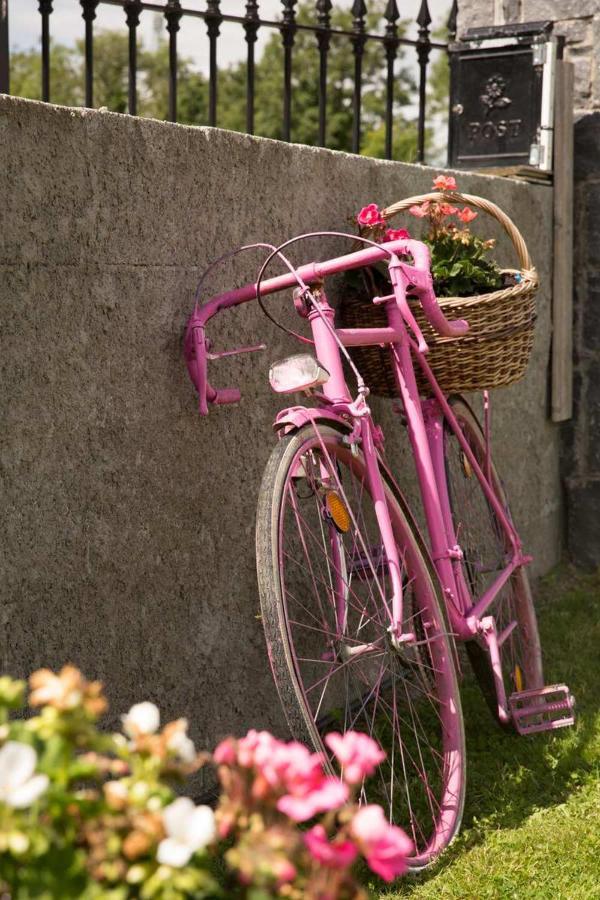 Shannon Breeze B&B Killaloe Extérieur photo