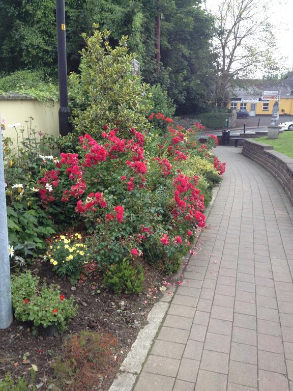 Shannon Breeze B&B Killaloe Extérieur photo