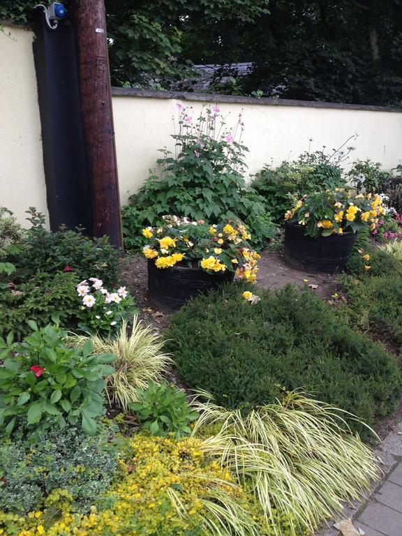 Shannon Breeze B&B Killaloe Extérieur photo