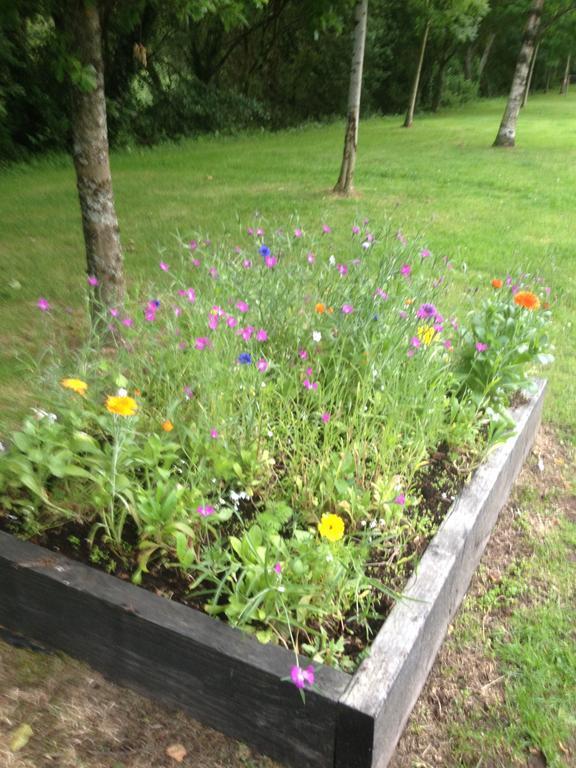 Shannon Breeze B&B Killaloe Extérieur photo